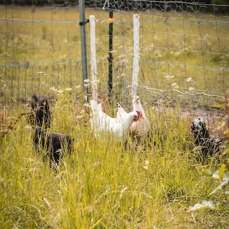 شقة Auszeit Altenhorst,