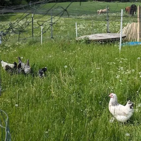 شقة Auszeit Altenhorst, *