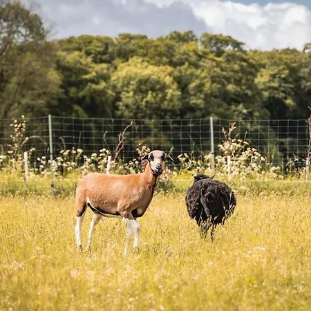 Auszeit Altenhorst, Schalksmuhle