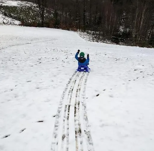 Apartamento Auszeit Altenhorst, *