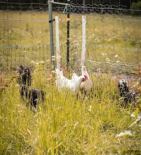 Apartamento Auszeit Altenhorst,