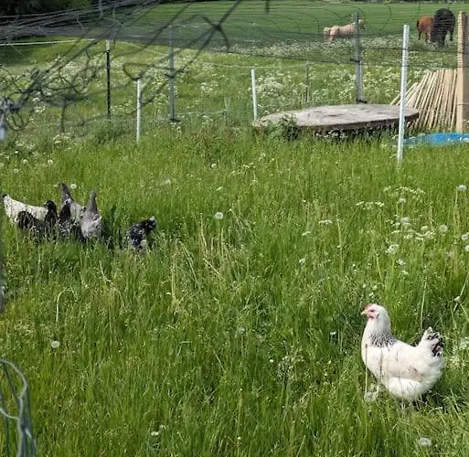 Apartamento Auszeit Altenhorst, *