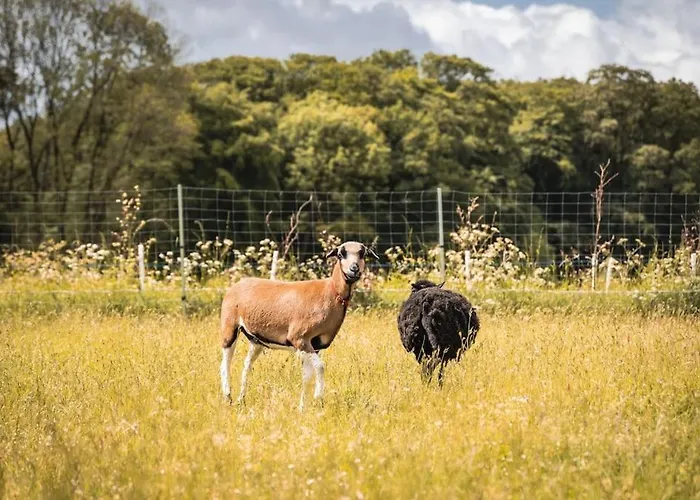 Auszeit Altenhorst, Schalksmuhle